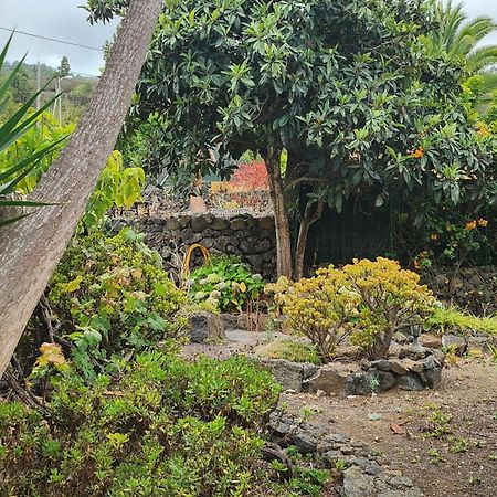 Villa Oasis Hill Botanical Garden Icod De Los Vinos Esterno foto