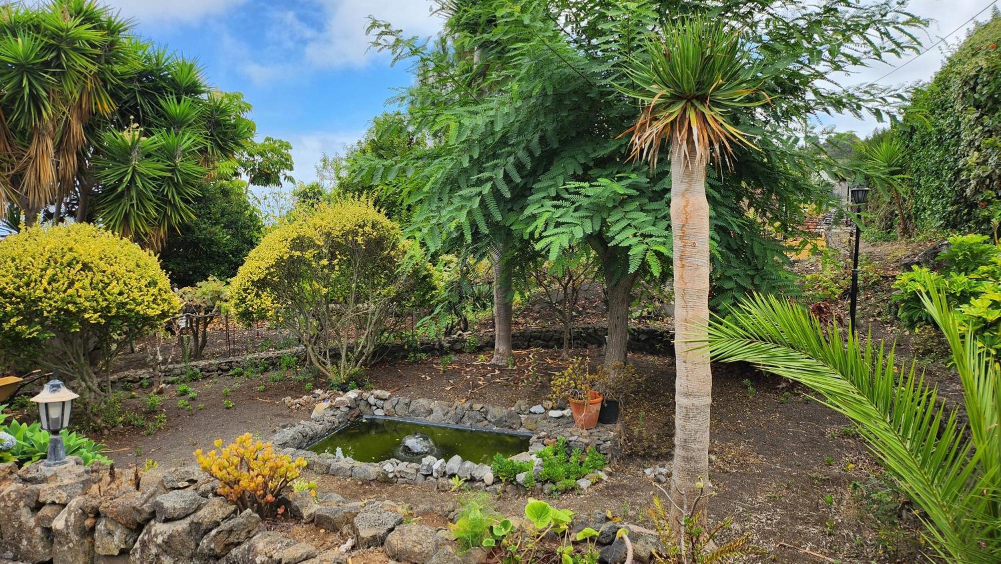 Villa Oasis Hill Botanical Garden Icod De Los Vinos Esterno foto