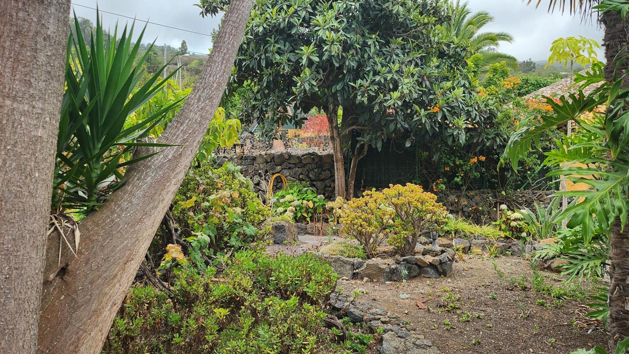 Villa Oasis Hill Botanical Garden Icod De Los Vinos Esterno foto