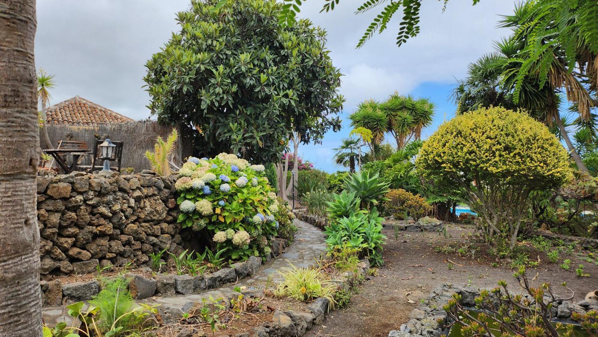 Villa Oasis Hill Botanical Garden Icod De Los Vinos Esterno foto