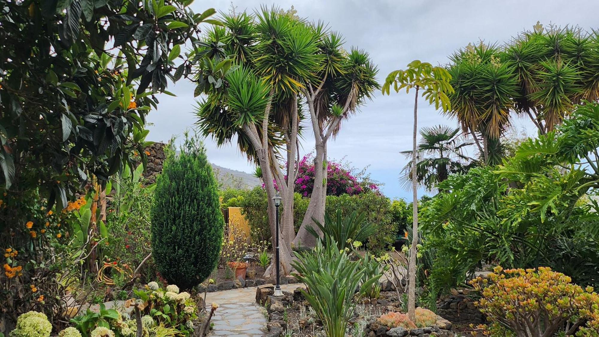 Villa Oasis Hill Botanical Garden Icod De Los Vinos Esterno foto