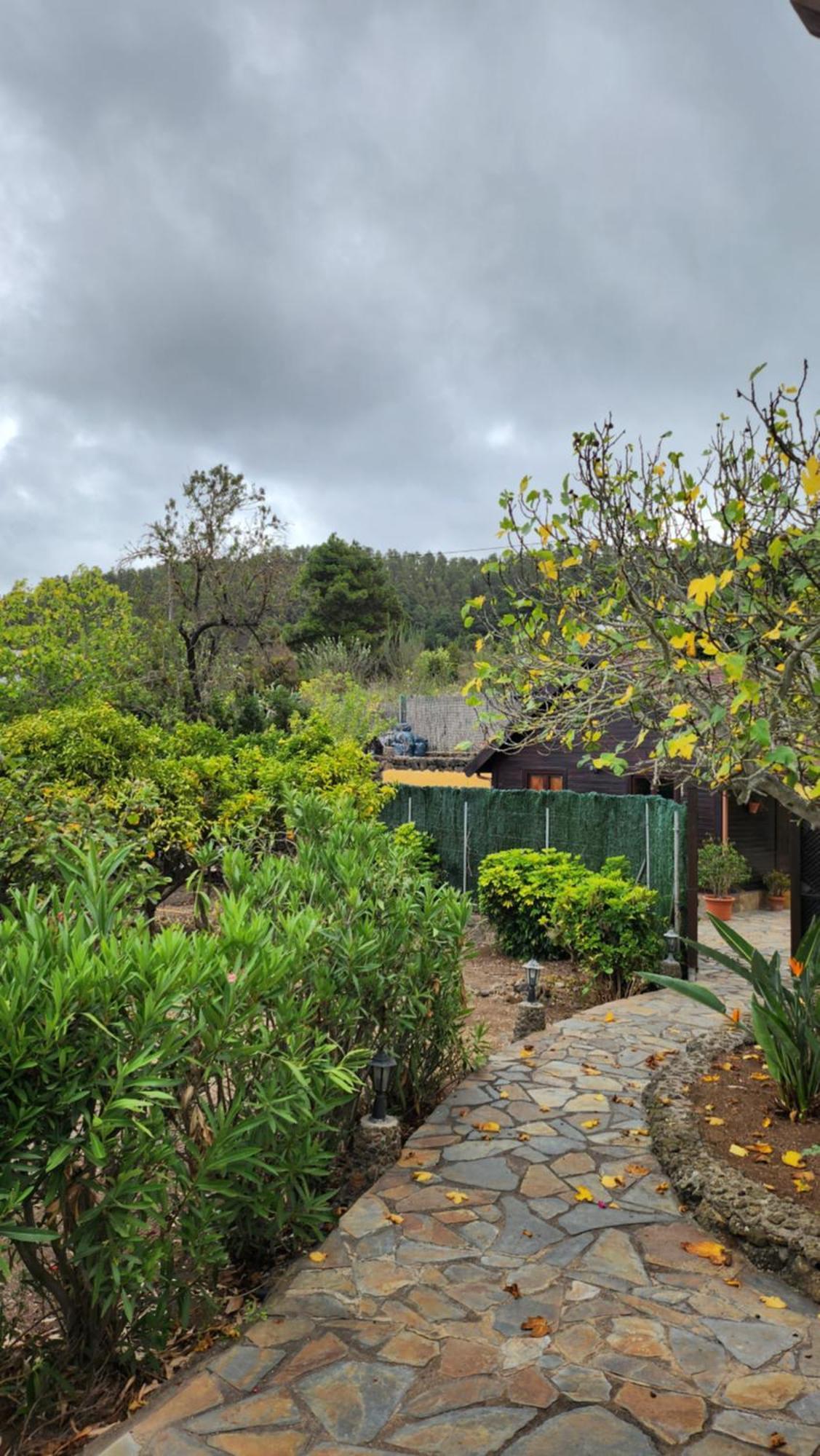 Villa Oasis Hill Botanical Garden Icod De Los Vinos Esterno foto