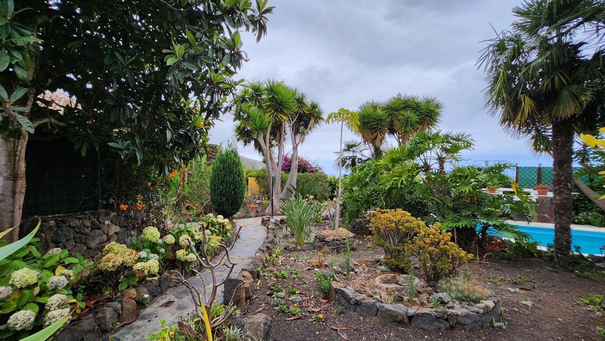 Villa Oasis Hill Botanical Garden Icod De Los Vinos Esterno foto