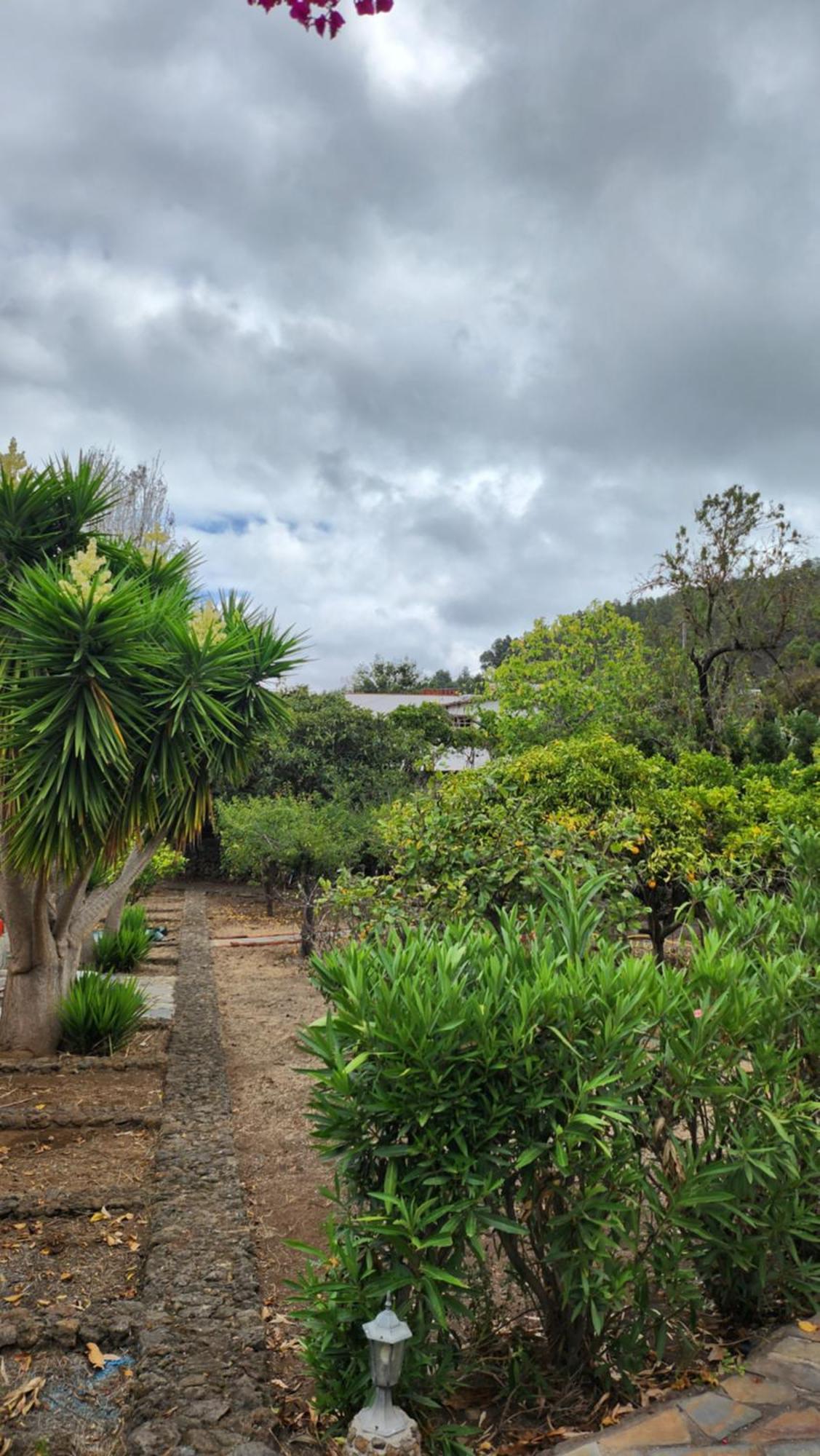 Villa Oasis Hill Botanical Garden Icod De Los Vinos Esterno foto
