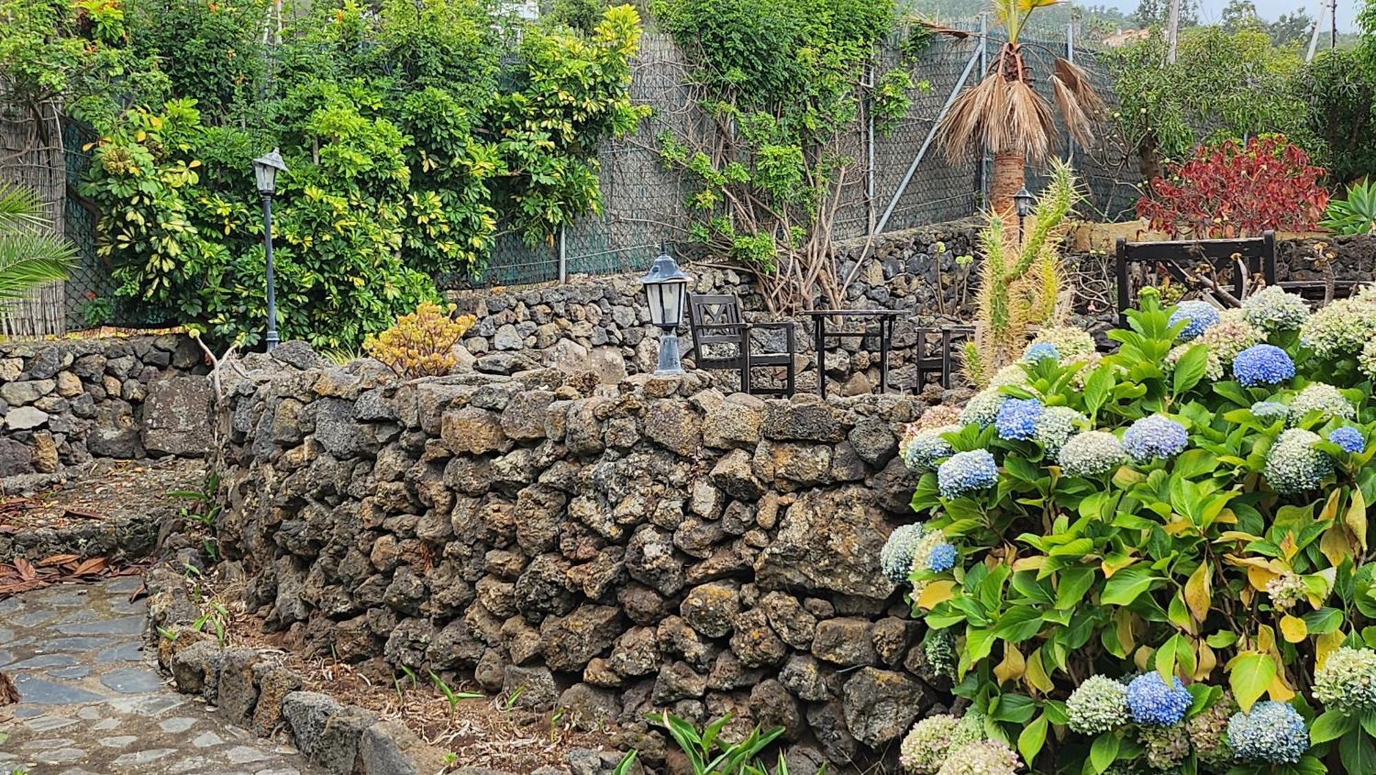 Villa Oasis Hill Botanical Garden Icod De Los Vinos Esterno foto