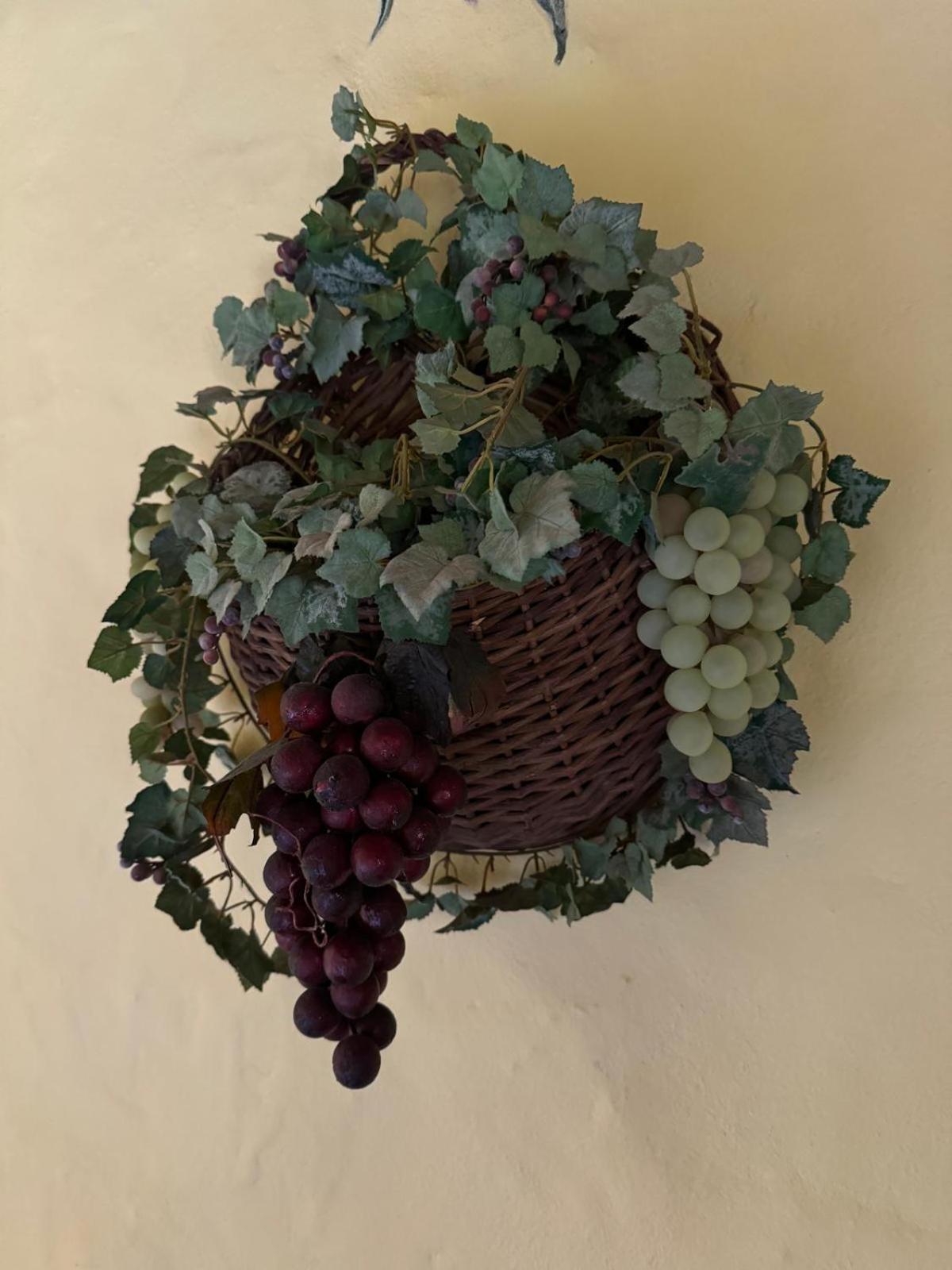Villa Oasis Hill Botanical Garden Icod De Los Vinos Esterno foto